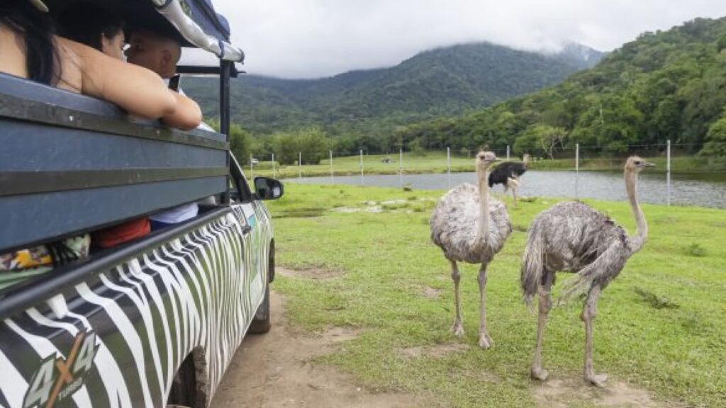 Portobello Resort & Safari - Mangaratiba, Rio de Janeiro