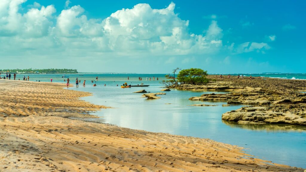 Praia dos carneiros, Pernambuco